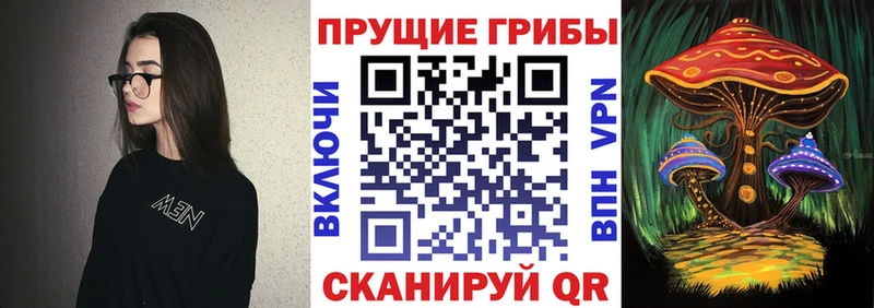 hydra зеркало  что такое   Гурьевск  Псилоцибиновые грибы ЛСД 