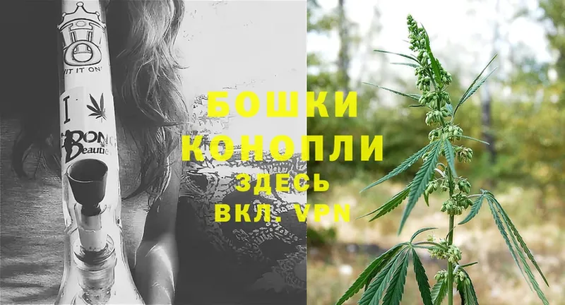 shop состав  МЕГА   Гурьевск  Бошки марихуана SATIVA & INDICA 